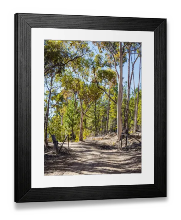 Framed Print : Gravel road leading through a gate Framed Print : Gravel road leading through a gate