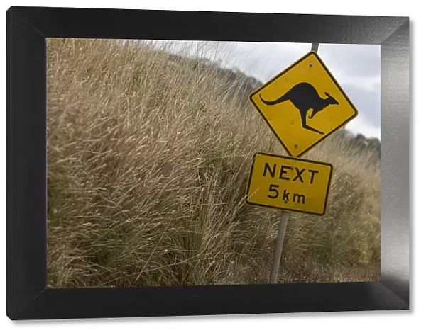 Kangaroo sign near Whitsunday Islands, Australia