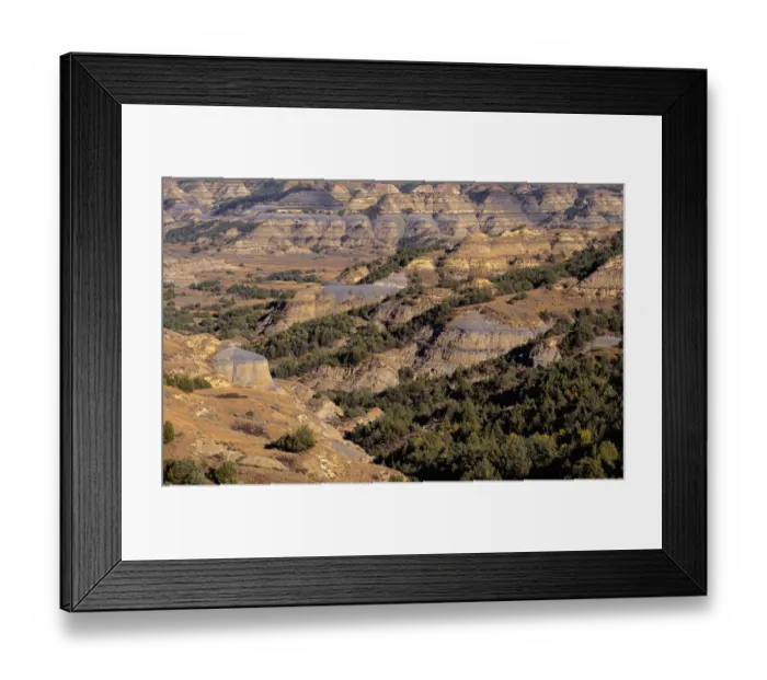 Framed Print : View from Bentonitic Clay Overlook on forest and eroded formations with gray colored exposed bentonite clay, Theodore Roosevelt National Park, North Dakota, USA