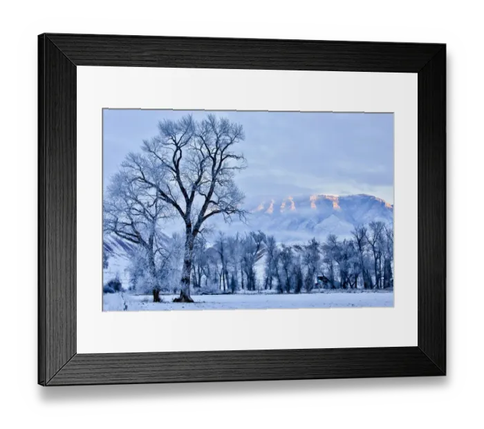 Framed Print : Hoarfrost on trees in mountain valley, Shell, Big Horn County, Wyoming, USA