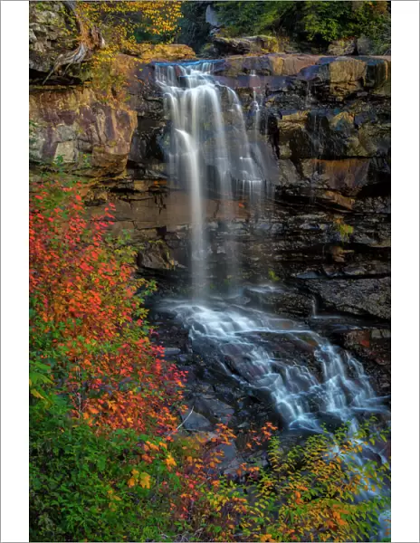 Waterfall in autumn forest in Blackwater Falls State Park, Tucker County, West Virginia, USA