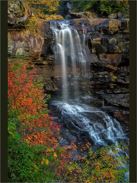 Waterfall in autumn forest in Blackwater Falls State Park, Tucker County, West Virginia, USA
