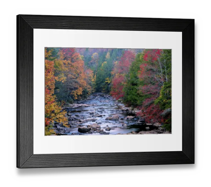 Framed Print : Rocky stream and autumn forest in Blackwater Falls State Park, Tucker County, West Virginia, USA Framed Print : Rocky stream and autumn forest in Blackwater Falls State Park, Tucker County, West Virginia, USA