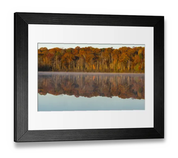 Framed Print : Autumn forest reflecting in Mill Pond Lake, Wisconsin, USA Framed Print : Autumn forest reflecting in Mill Pond Lake, Wisconsin, USA