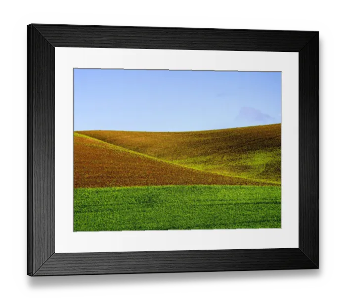 Framed Print : Wheat fields of Palouse region in spring, Washington State, USA Framed Print : Wheat fields of Palouse region in spring, Washington State, USA