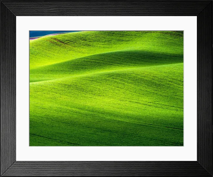 Framed Print : Wheat fields of Palouse region in spring, Washington State, USA Framed Print : Wheat fields of Palouse region in spring, Washington State, USA