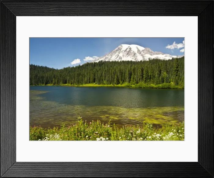 Framed Print : Mount Rainier and Reflection Lakes on sunny day, Mount Rainier National Park, Washington State, USA Framed Print : Mount Rainier and Reflection Lakes on sunny day, Mount Rainier National Park, Washington State, USA