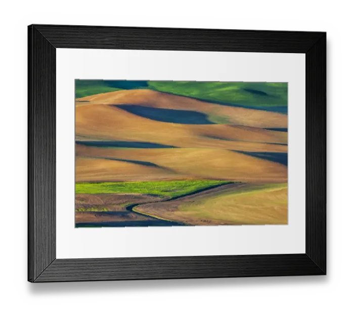 Framed Print : Wheat and fallow fields on hills of Palouse region, Washington State, USA Framed Print : Wheat and fallow fields on hills of Palouse region, Washington State, USA