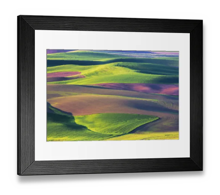 Framed Print : Wheat and fallow fields on hills of Palouse region, Washington State, USA Framed Print : Wheat and fallow fields on hills of Palouse region, Washington State, USA