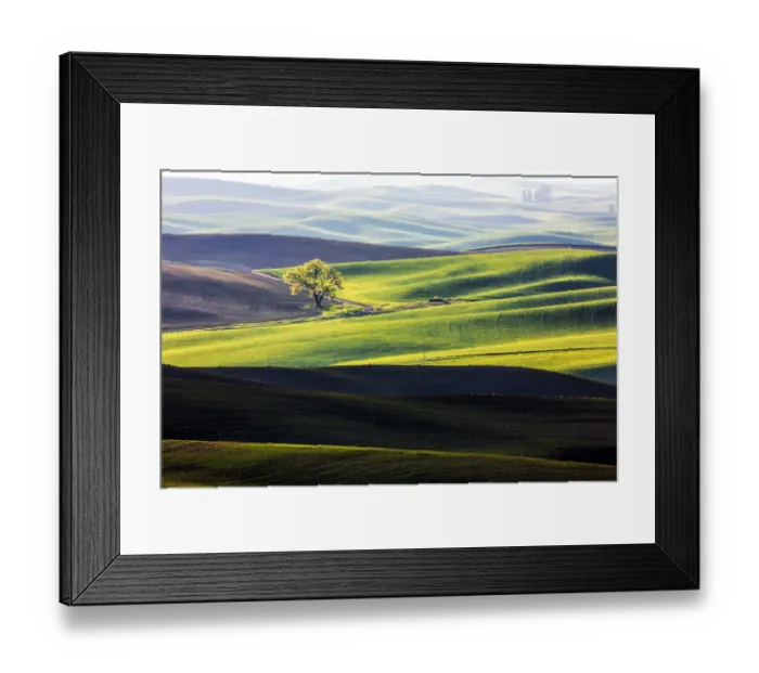 Framed Print : Lone tree among wheat fields of Palouse region, Washington State, USA Framed Print : Lone tree among wheat fields of Palouse region, Washington State, USA