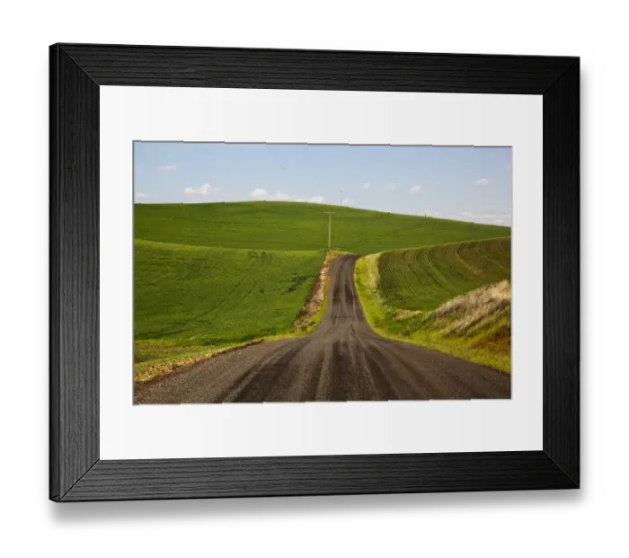 Framed Print : Country road through wheat fields of Palouse region in spring, Washington State, USA