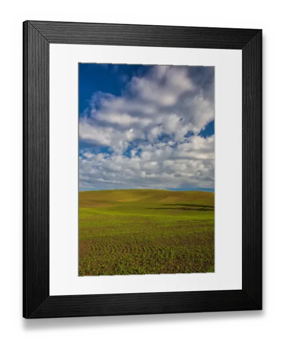 Framed Print : Clouds over wheat fields of Palouse region in spring, Washington State, USA Framed Print : Clouds over wheat fields of Palouse region in spring, Washington State, USA