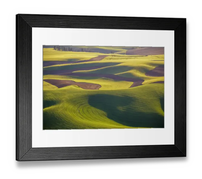 Framed Print : Aerial view of fields, Palouse, Washington State, USA Framed Print : Aerial view of fields, Palouse, Washington State, USA