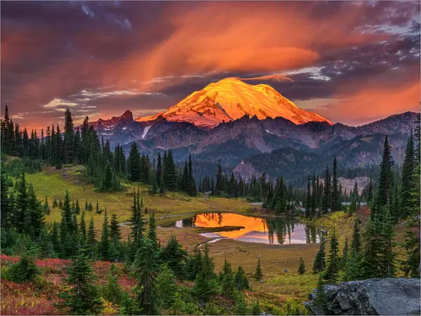 Mt. Rainier National Park and Tipsoo Lake at sunrise, Washington State, USA