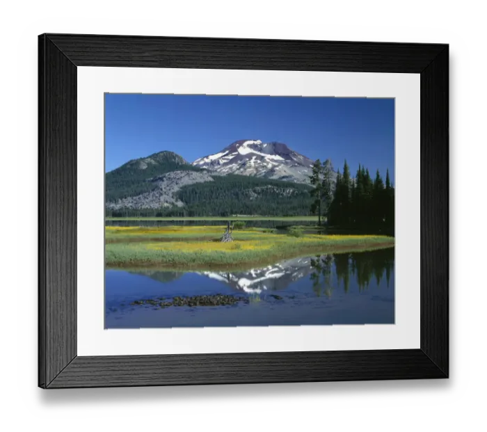 Framed Print : Leafy arnica (Arnica) blooms on an island in Sparks Lake in Deschutes National Forest, Oregon, USA Framed Print : Leafy arnica (Arnica) blooms on an island in Sparks Lake in Deschutes National Forest, Oregon, USA