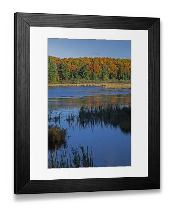 Framed Print : Doe Lake on sunny day, Hiawatha National Forest, Upper Peninsula, Michigan, USA Framed Print : Doe Lake on sunny day, Hiawatha National Forest, Upper Peninsula, Michigan, USA