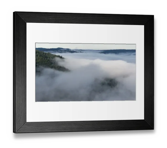 Framed Print : Landscape from Bald Hills Road with early morning fog filling valley, Redwood National Park, California, USA Framed Print : Landscape from Bald Hills Road with early morning fog filling valley, Redwood National Park, California, USA