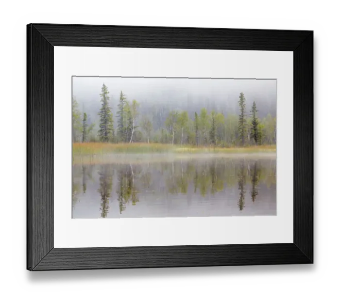Framed Print : Landscape with lake and foggy forest by Little Lost Lake, Alaska, USA Framed Print : Landscape with lake and foggy forest by Little Lost Lake, Alaska, USA