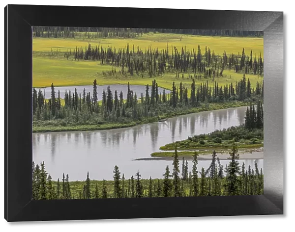 Landscape with Nenana River Valleyand and pond, Alaska, USA