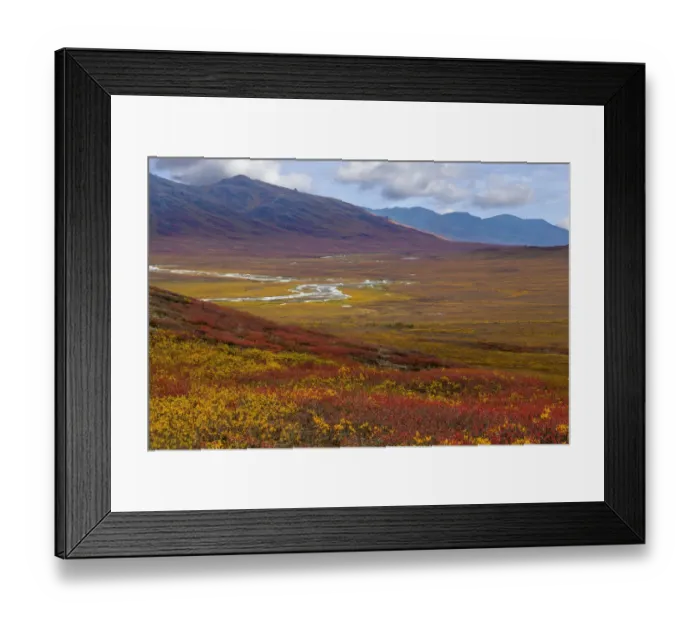 Framed Print : Landscape with Brooks Range, Alaska, USA Framed Print : Landscape with Brooks Range, Alaska, USA