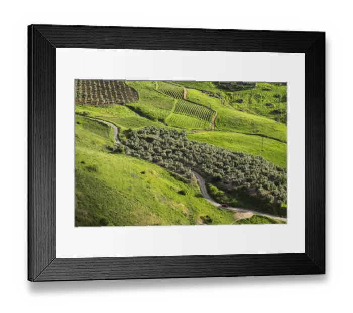 Framed Print : Olive groves and vineyards, Ronda, Andalusia, Spain Framed Print : Olive groves and vineyards, Ronda, Andalusia, Spain
