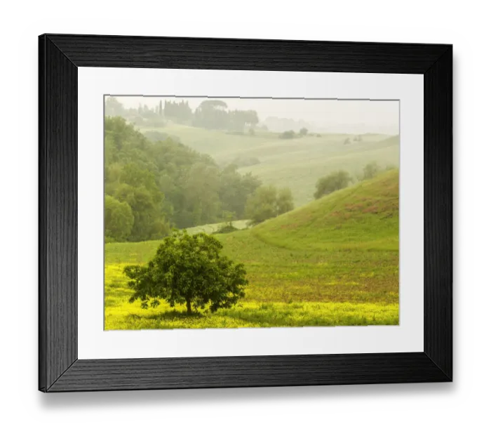 Framed Print : Countryside in mist, Chianti, Toscana, Italy Framed Print : Countryside in mist, Chianti, Toscana, Italy