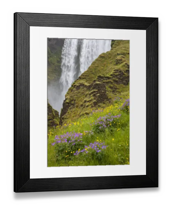 Framed Print : Seljalandsfoss Waterfall and Wildflowers, Iceland