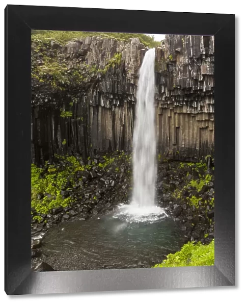 Svartifoss waterfall, Skaftafell National Park, Southeast Iceland, Iceland