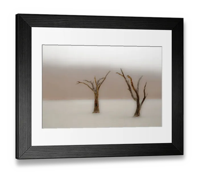 Framed Print : Ancient camel thorn trees (Vachellia erioloba) in fog in Dead Vlei, Sossusvlei, Namib-Naukluft National Park, Namib Desert, Namibia Framed Print : Ancient camel thorn trees (Vachellia erioloba) in fog in Dead Vlei, Sossusvlei, Namib-Naukluft National Park, Namib Desert, Namibia