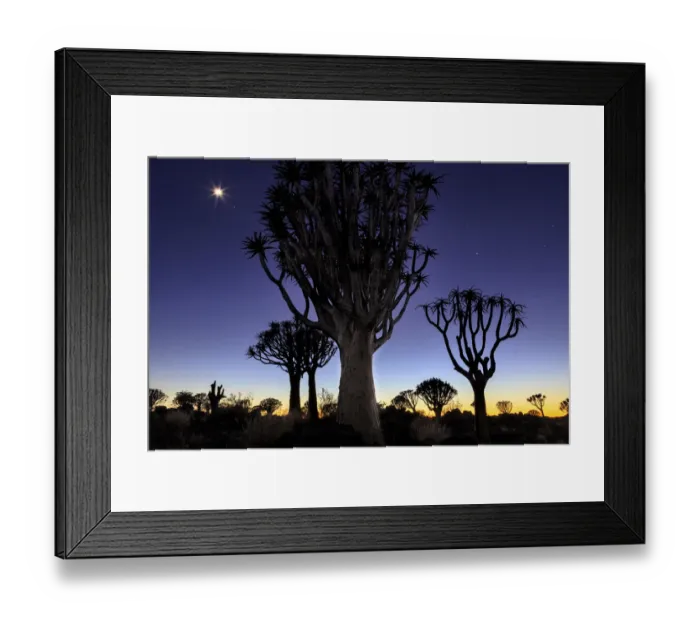 Framed Print : Quiver tree Forest at sunrise, Keetmanshoop, Namibia Framed Print : Quiver tree Forest at sunrise, Keetmanshoop, Namibia