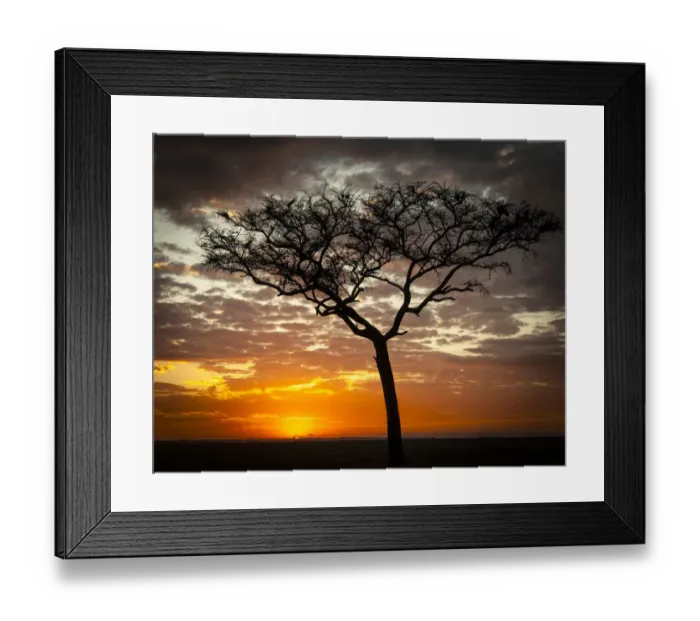 Framed Print : Sunrise, Masai Mara National Reserve, Kenya Framed Print : Sunrise, Masai Mara National Reserve, Kenya