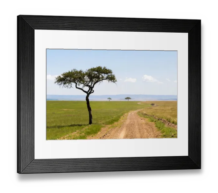 Framed Print : Lone tree in field, Masai Mara National Reserve, Kenya Framed Print : Lone tree in field, Masai Mara National Reserve, Kenya