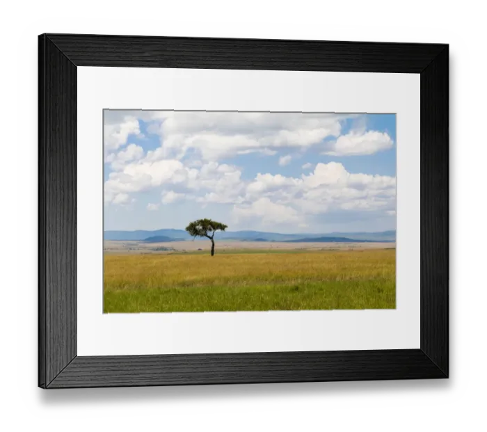 Framed Print : Lone tree in field, Masai Mara National Reserve, Kenya Framed Print : Lone tree in field, Masai Mara National Reserve, Kenya