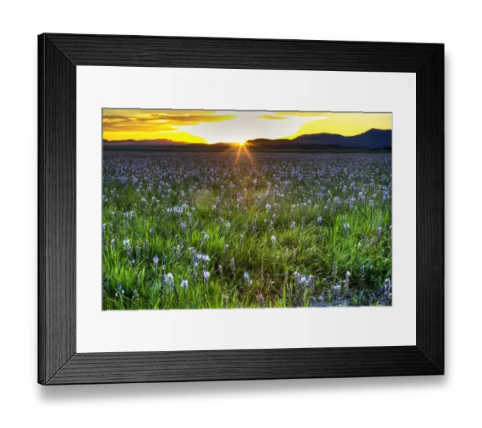 Framed Print : Sunset in Camas Prairie, Fairfield, Idaho, USA