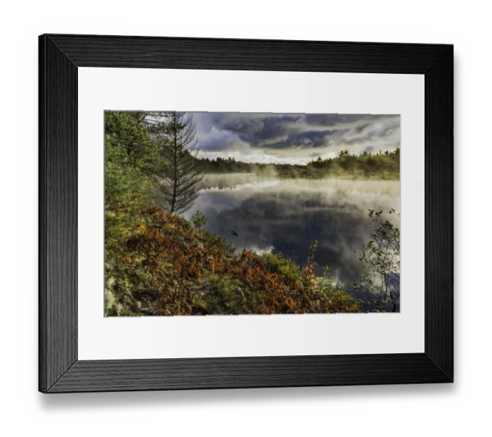 Framed Print : Ferns on shoreline of Tahquamenon River at sunrise, Paradise, Michigan, USA Framed Print : Ferns on shoreline of Tahquamenon River at sunrise, Paradise, Michigan, USA