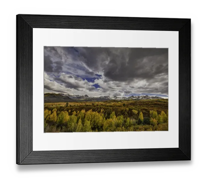 Framed Print : Aspen trees and Sneffels Range in autumn, Mount Sneffels Wilderness, Uncompahgre National Forest, Colorado, USA