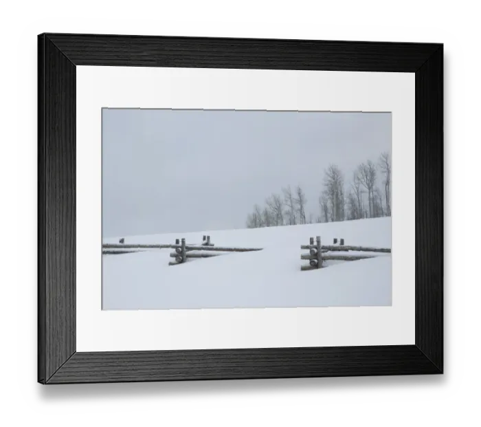 Framed Print : Fence buried in deep snow, Uncompahgre National Forest, Colorado, USA Framed Print : Fence buried in deep snow, Uncompahgre National Forest, Colorado, USA