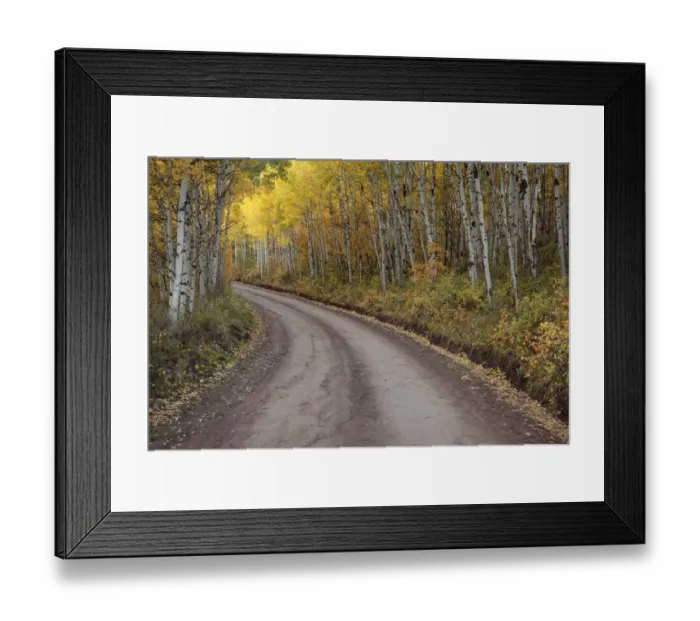 Framed Print : Dirt road through aspen forest, San Juan Mountains, Colorado, USA Framed Print : Dirt road through aspen forest, San Juan Mountains, Colorado, USA