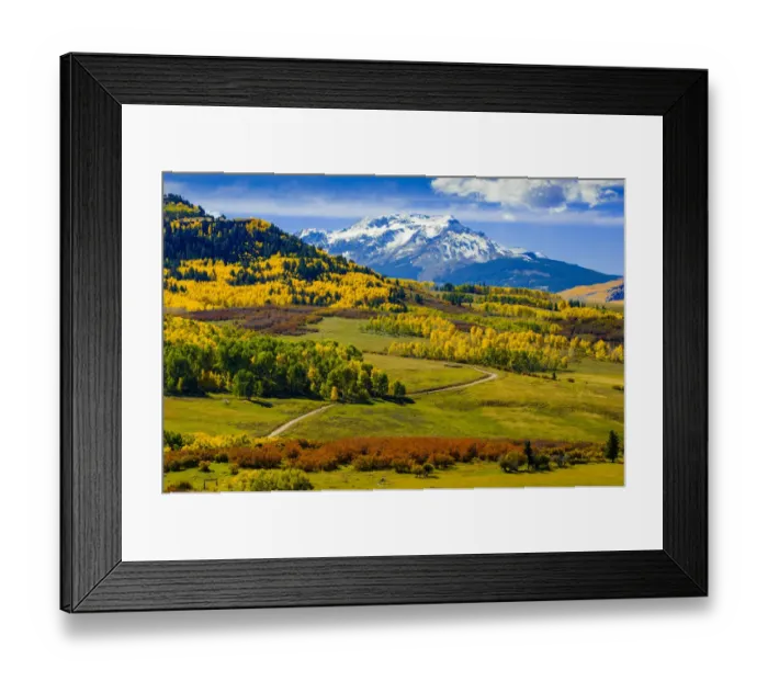 Framed Print : Fall colors, vista, San Juan Range, Colorado, USA Framed Print : Fall colors, vista, San Juan Range, Colorado, USA