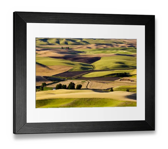 Framed Print : Wheat and pea fields on hills in Palouse region, Washington State, USA Framed Print : Wheat and pea fields on hills in Palouse region, Washington State, USA