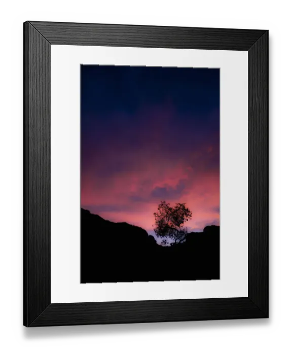 Framed Print : Silhouette of tree at sunset, Fish River Canyon, Ai-Ais Richtersveld Transfrontier Park, Karas Region, Namibia Framed Print : Silhouette of tree at sunset, Fish River Canyon, Ai-Ais Richtersveld Transfrontier Park, Karas Region, Namibia