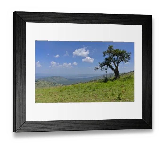 Framed Print : Scenic view, Akagera National Park, Parc National de lAkagera, Eastern Province, Rwanda Framed Print : Scenic view, Akagera National Park, Parc National de lAkagera, Eastern Province, Rwanda