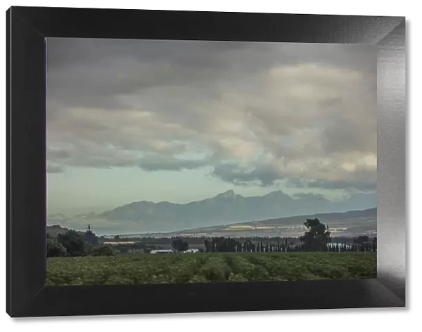 Wide angle shot of plantations with gray clouds above, and mountains in the background, Western Cape Province, South Africa