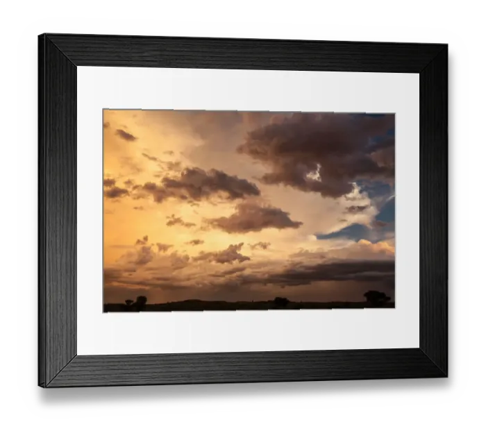 Framed Print : The Kgalagadi Transfrontier Park lies in a large sand-filled basin in the west of the southern African subcontinent, known as the Kalahari Desert. It straddles both South Africa and Botswana to create Framed Print : The Kgalagadi Transfrontier Park lies in a large sand-filled basin in the west of the southern African subcontinent, known as the Kalahari Desert. It straddles both South Africa and Botswana to create