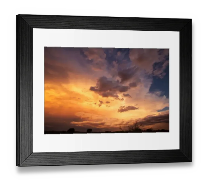 Framed Print : The Kgalagadi Transfrontier Park lies in a large sand-filled basin in the west of the southern African subcontinent, known as the Kalahari Desert. It straddles both South Africa and Botswana to create Framed Print : The Kgalagadi Transfrontier Park lies in a large sand-filled basin in the west of the southern African subcontinent, known as the Kalahari Desert. It straddles both South Africa and Botswana to create