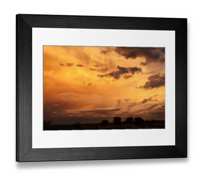 Framed Print : The Kgalagadi Transfrontier Park lies in a large sand-filled basin in the west of the southern African subcontinent, known as the Kalahari Desert. It straddles both South Africa and Botswana to create Framed Print : The Kgalagadi Transfrontier Park lies in a large sand-filled basin in the west of the southern African subcontinent, known as the Kalahari Desert. It straddles both South Africa and Botswana to create