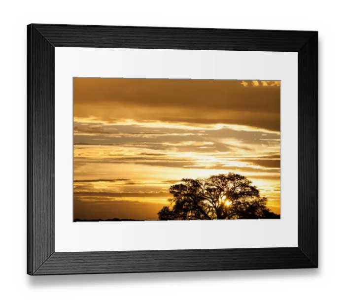 Framed Print : The Kgalagadi Transfrontier Park lies in a large sand-filled basin in the west of the southern African subcontinent, known as the Kalahari Desert. It straddles both South Africa and Botswana to create Framed Print : The Kgalagadi Transfrontier Park lies in a large sand-filled basin in the west of the southern African subcontinent, known as the Kalahari Desert. It straddles both South Africa and Botswana to create
