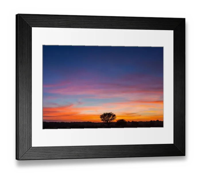 Framed Print : The Kgalagadi Transfrontier Park lies in a large sand-filled basin in the west of the southern African subcontinent, known as the Kalahari Desert. It straddles both South Africa and Botswana to create Framed Print : The Kgalagadi Transfrontier Park lies in a large sand-filled basin in the west of the southern African subcontinent, known as the Kalahari Desert. It straddles both South Africa and Botswana to create