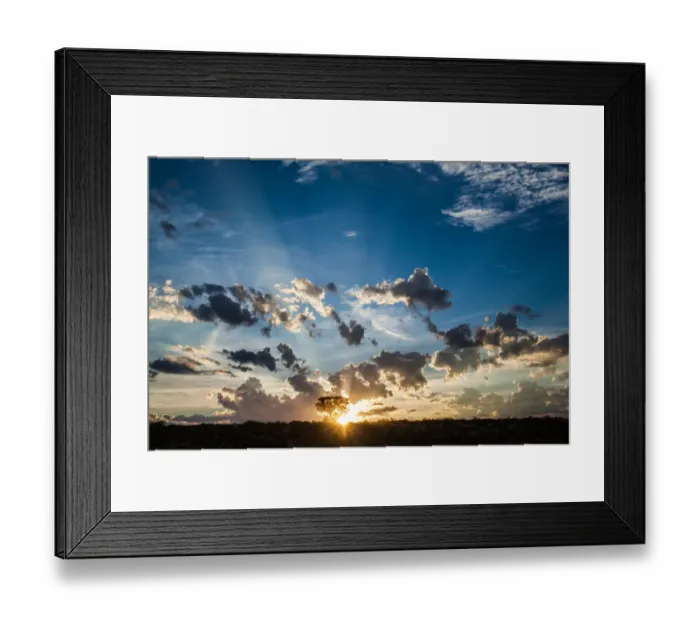Framed Print : The Kgalagadi Transfrontier Park lies in a large sand-filled basin in the west of the southern African subcontinent, known as the Kalahari Desert. It straddles both South Africa and Botswana to create Framed Print : The Kgalagadi Transfrontier Park lies in a large sand-filled basin in the west of the southern African subcontinent, known as the Kalahari Desert. It straddles both South Africa and Botswana to create