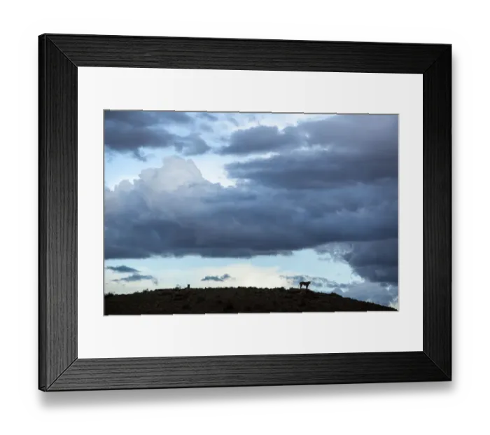 Framed Print : Lioness silhouetted on a ridge, Kgalagadi Transfrontier Park, South Africa Framed Print : Lioness silhouetted on a ridge, Kgalagadi Transfrontier Park, South Africa